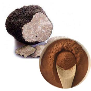 Extrait de truffes noires naturelles, matière première alimentaire, poudre d'extrait de truffes noires, 10%-30% de polysaccharides, extrait de truffes <span class=keywords><strong>du</strong></span> Périgord - Product Image 2