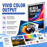 Encre éco-solvant 1L CMYK pour Epson I3200 XP600 DX5 DX7 Impression de logos d'équipes sportives, autocollants et graphiques