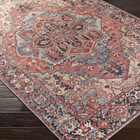 Tapis d'appoint vintage oriental lavable antidérapant, tapis persan pour salon, grand tapis