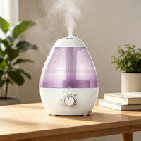 Diffuseur d'huiles essentielles à ultrasons, humidificateur ionisant multifonctionnel, barre d'oxygène, veilleuse portable pour voiture, bureau, hôtel