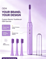 Brosse à dents électrique sonique pour adultes, vente en gros d'usine, IPX7, chargement USB, poils souples, prise en charge OEM ODM, logo personnalisé