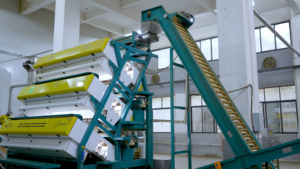 Té Negro en Hojas Sueltas, Crudo, Saludable y Adelgazante, en Bolsas y Cajas, Venta al Por Mayor, Directo <span class=keywords><strong>de</strong></span> Fábrica - Product Image 5