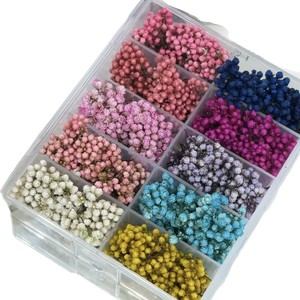 Piccoli Fiori Secchi Giapponesi <span class=keywords><strong>per</strong></span> Nail Art: Decorazioni Fresche Stile Ins con Gypsophila, Stelle e Riso <span class=keywords><strong>per</strong></span> <span class=keywords><strong>Unghie</strong></span> Fai da Te - Product Image 5