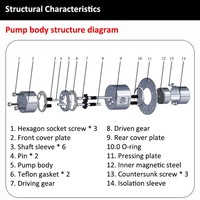 Pompe à engrenages en acier inoxydable à entraînement magnétique micro, haute efficacité, pour liquides chimiques, eau, faible débit, fonction de pulvérisation de code