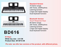 Factory Direct High Quality 61-Key Electronic Piano Plastic Musical Instrument with Teaching Function for Beginner Musicians