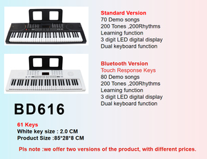 Instrument de musique en plastique <span class=keywords><strong>pour</strong></span> <span class=keywords><strong>piano</strong></span> électronique 61 touches de haute qualité Factory Direct avec fonction d'enseignement <span class=keywords><strong>pour</strong></span> musiciens débutants - Product Image 6