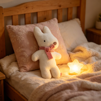 Coussin en peluche doux et irrégulier en forme de lapin et de chat, vente en gros, fabricant sur mesure, pour canapé, décoration intérieure, cadeaux
