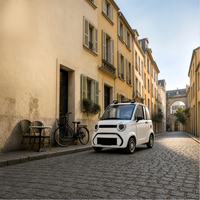 Scooter électrique à 4 roues, mini voiture électrique 2 places, 72V 1500W, 80 km, 45 km/h, tout-terrain, pour les trajets quotidiens en ville, pour adultes