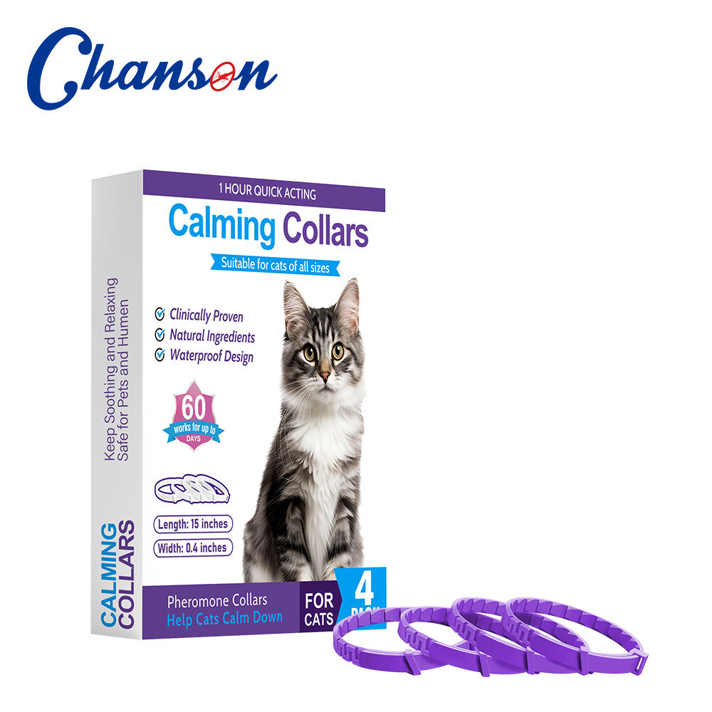 Chat Violet (une boîte de 4 paquets)