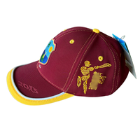 Casquette de cricket marron avec écusson d'équipe brodé, logo personnalisé, style vintage sportif, visière incurvée réglable à double couche, casquette de baseball