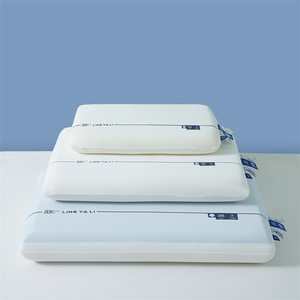 Duoduo Planet Hotel Home <b>Memory</b> <b>Foam</b> Pillow 200TC Double Core Zero Pressure Solid Modern Style Slow Rebound Neck Pillow Core Pro - Product Image 1