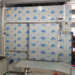 -40องศา <span class=keywords><strong>C</strong></span> พลังงานแสงอาทิตย์คอมเพรสเซอร์ Walk-In ตู้แช่แข็ง Chamber - Product Image 3