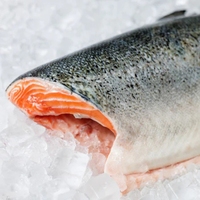 Saumon d'Atlantique entier surgelé, pêche sauvage, IQF, export, fournisseur de produits de la mer en vrac, saumon brut de haute qualité, emballage sous vide