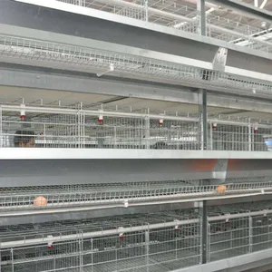 TBB Poultry Equipment Suppliers Automatic Layer Chicken Egg Laying Hen Cages for sale