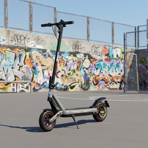 Connectivité APP, moteur 800W, vitesse 40 km/h, charge 150 kg, scooter électrique pliable à deux roues avec batterie au lithium, étanche, E12PLUS - Product Image 1