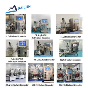 Biorreactor de Cultivo Celular de 10L, Fermentador con Tanque Agitado Encamisado para Investigación de Células Madre de Mamíferos con PLC y Precio - Product Image 3