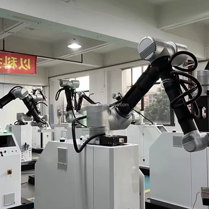 <b>Palletizing</b> Are Widely <b>Used</b> in the Food Industry for End-of-line Production, Offering High Efficiency. Robotic Palletizer Machin - Product Image 2