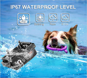 <span class=keywords><strong>Collar</strong></span> de entrenamiento para perros personalizado al por mayor con control remoto, herramienta de entrenamiento para mascotas recargable sin ladridos, collares para cachorros - Product Image 5