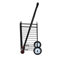 Chariot de courses pliable grande capacité pour extérieur avec poignée télescopique et 4 roues, chariot de transport portable robuste pour voyage et plage