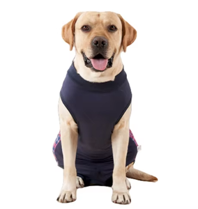 Mono ajustable y transpirable de recuperación de esterilización de moda de lujo <span class=keywords><strong>para</strong></span> <span class=keywords><strong>perros</strong></span> - Product Image 1