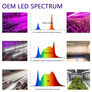 Lampada <span class=keywords><strong>LED</strong></span> T8 per Coltivazione Liweida, Spettro Personalizzabile 30-240cm, Collegabile in Serie, IP65, per Fioritura di Fragole - Product Image 5