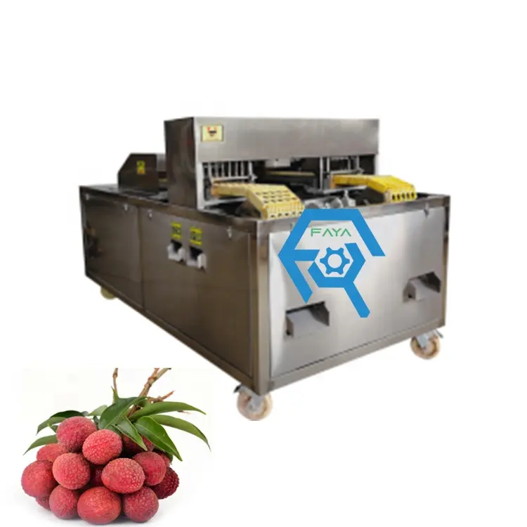 Machine industrielle de retrait de lichi, machine de retrait de graines de fruits longs, de cerise et d'olive
