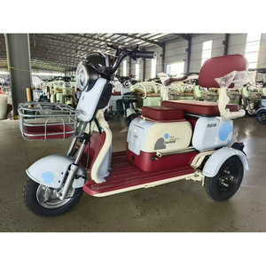 <span class=keywords><strong>Vélo</strong></span> pliant électrique Portable populaire pour adultes personnes âgées <span class=keywords><strong>handicap</strong></span>ées <span class=keywords><strong>moteur</strong></span> à 3 vitesses 60V acier sans brosse pour les loisirs de trajet - Product Image 3