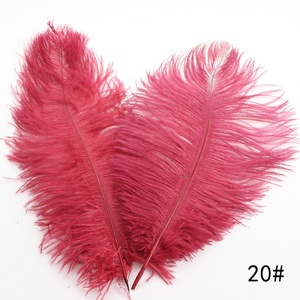 Đầy Màu sắc 25-30cm Tay nhuộm nhuộm đà điểu lông đáng yêu trang trí đám cưới - Product Image 5