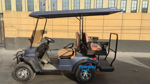 Chariot de <span class=keywords><strong>chasse</strong></span> électrique avec CE DOT - Product Image 4