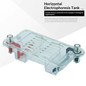 Vasca per Elettroforesi Orizzontale in Plastica, Gel di Agarosio, Attrezzatura Sperimentale per Biologia delle Scuole Superiori, Strumento Didattico - Product Image 3