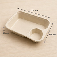 Duurzame composteerbare bagasse serveerschaal voor salades, fruit, snacks en kant-en-klare maaltijden