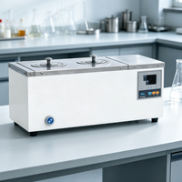 Bain-marie thermostaté numérique en acier inoxydable à température constante pour laboratoire, modèle RT5-100, avec une variation de 0,5 °C