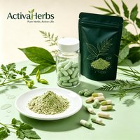 Monk Fruit Extract Poeder Mogroside V 25% 50% Natuurlijke Zoetstof Calorievrij Keto Suikervervanger Groothandel