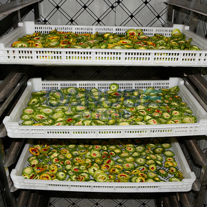High Output Balsam Pear Drying Oven Room Balsam Pear <b>Dehumidifier</b> Processing Equipment Vegetable Drying Room - Product Image 1