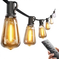 Guirlandes lumineuses de jardin en cristal ST38 LED, télécommandées, étanches, à intensité variable |   Ampoules incassables remplaçables connectables AC 85-265V