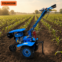 Mini Cultivadora Diésel de Accionamiento Directo a Precio de Fábrica, 800-1050 mm de Ancho, Transmisión de Engranajes Completos, Alto Torque, para Agricultura