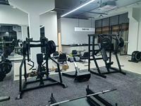 Équipement de musculation commercial, entraîneur dorsal, développeur de chaîne postérieure, machine à dos, machine de musculation pour salle de sport