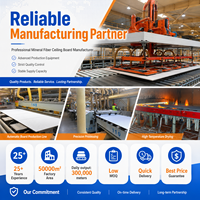 Plaque de plafond en fibre minérale du fabricant chinois, OEM ODM, taille personnalisée, panneau de plafond acoustique en laine minérale pour projets de construction