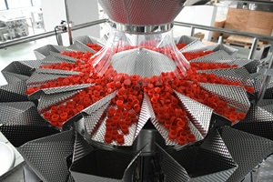 Machine d'emballage de sachets préfabriqués pour raviolis congelés Peseuse multi-têtes à fossettes Machine Doypack à remplir et sceller de haute précision - Product Image 2