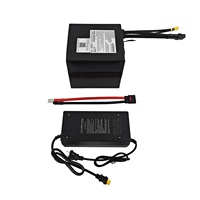 Batterie au lithium AMORGE 13S7P 48V 28AH 210A avec BMS Bluetooth ANT pour vélo électrique