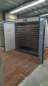 Incubatrice Combinata Grande Capacità per 6000 Uova, Uso Agricolo, Attrezzatura per Allevamento Avicolo, Durata 8-10 Anni - Product Image 2