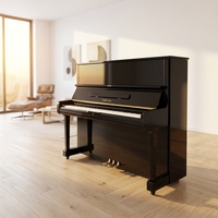 U1H Noir Brillant Effet Piano, Tous Composants d'Origine, Son Clair et Transparent Classique