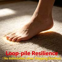 Tapis en rouleau à boucles souples en polyester, fabrication industrielle, couverture complète, facile à nettoyer, tons neutres, idéal pour bureau, hôtel, maison - Vente chaude
