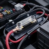 Porte-fusible ANL 250A avec fusible ANL 250A intégré pour autoradio, largement utilisé dans les voitures, camions, bateaux, vente en gros OEM