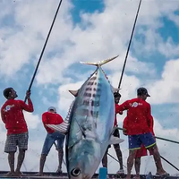 Canne à pêche au thon en fibre de carbone OEM 100% 2.5 ~ 5m navire (cric) poteau de levage pour les techniques de pêche en mer et les espèces cibles de carpe