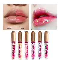 Nouveau design Vente en gros Moins cher Beauté Maquillage Brillant à lèvres 24 Unités Magic Kiss Changement de couleur Brillant à lèvres Liquide Cosmétiques