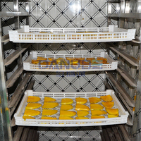 Geavanceerde Mango Warmtepomp Droogoven Fruitdroogmachine Mango Dehydrator Apparatuur