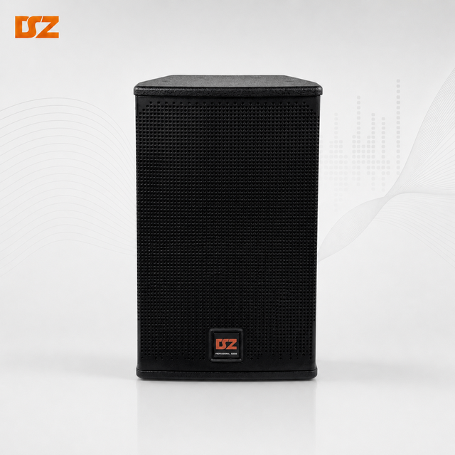 OEM Professional 10 Inch Passive KTV Full Range Speaker for Karaoke and Entertainment Audio