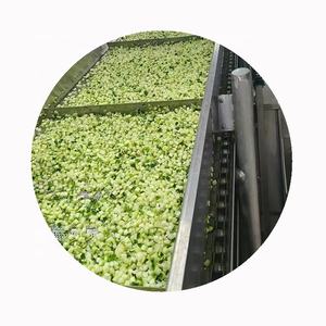 قرعة كوسة صفراء كاملة مجمدة مع شرائح وأنماط مفرومة - Product Image 6