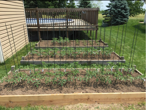 Vườn Stakes 5/16 "Dia FRP nhà máy hỗ trợ Stakes cho Leo cà chua dưa chuột Dâu Tây cây đậu - Product Image 5